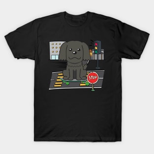 Funny sheepdog is on a skateboard T-Shirt